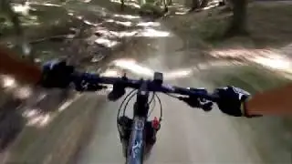 Мини покатуха на Specialized Rockhopper