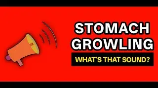 Stomach Growling? Here’s What’s Really Happening