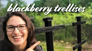 Blackberry Trellis Design-Build — DIY Start to Finish!