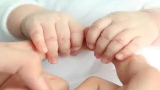 36 - 40 недель беременности