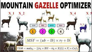 Mountain Gazelle Optimizer (MGO) Step-By-Step ~xRay Pixy