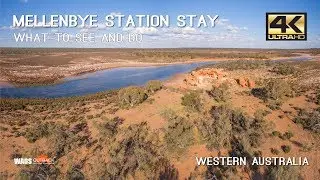 What To See And Do At Mellenbye Station Western Australia