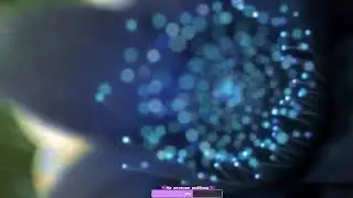 StreamVi.ru live stream