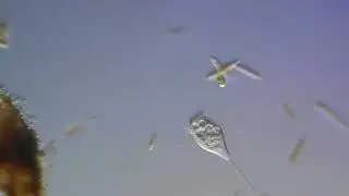 DSCN9209