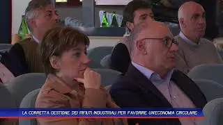 TLT NEWS EDIZIONE SERALE DEL 29-10-24