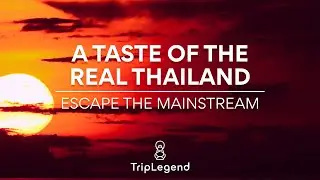 A TASTE of the REAL Thailand - ESCAPING the Tourist Bubble