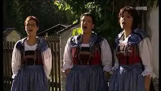 Terzett Mundwerk