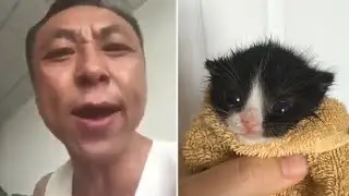 Asian Man yells at cat Funkin' version but it's actually in the game