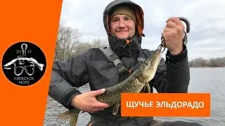 Щука на воблера весной 🎣 Раздача щуки с одной точки