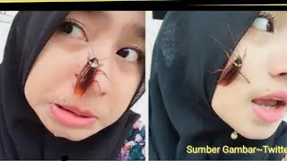 #comel