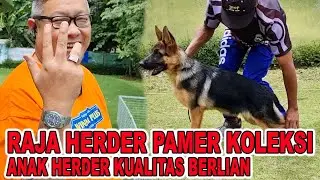 HERDER KUALITAS BERLIAN KOLEKSI RAJA HERDER SE-NUSANTARA