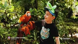 Lo Mío Es Guate ¡Pacífico Mágico y Diverso!