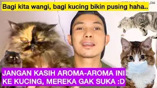 AROMA YANG TIDAK DISUKAI KUCING - Kucing Bisa Stress Cium Aroma berikut