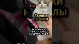 ТЫ КОГДА НАСТУПАЮТ СКИДКИ В ТУНДРЕ 8200/10000✅ | #warthunder #wot  #memes #обзор#shortsyoutube