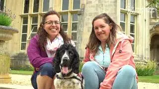 Pip and hearing dog Gino's story