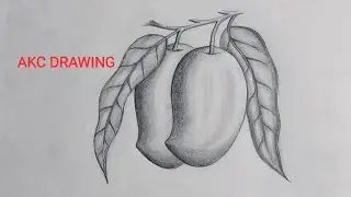 || How to Draw a Mango Very Easy Pencil Drawing,|| [आम का चित्र बनाना सीखें,]