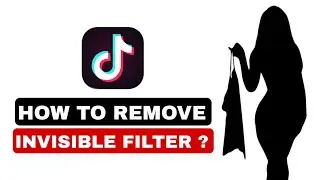 HOW TO REMOVE INVISIBLE FILTER? How To Remove Invisible Filter from TIKTOK vidoes? 100% working
