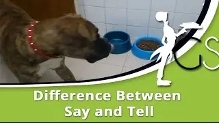 Difference Between Say and Tell: ESL Vocabulary Lesson
