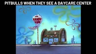 Pitbulls finest eating establishment