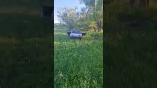 #красноярск