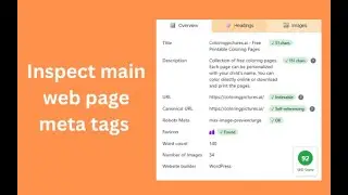 How to find meta tags on a website