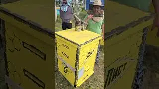СОРЕВНОВАНИЯ МЕДА