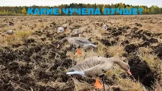 🦢💥КАК ВЫБРАТЬ ЧУЧЕЛА ГУСЯ ДЛЯ ОХОТЫ?