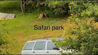Safari park Zoo Dvůr Králové nad Labem 2020