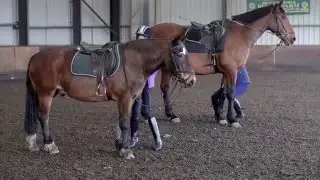 Horse Dismount Fail