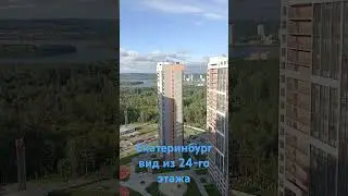15 августа 2024 г.