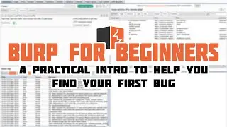 Burp for Beginners: A practical intro to help you find your first bug