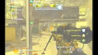 Force vs gT  2-1