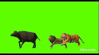 copyright free Cartoon Green Screen Animation Buffalo