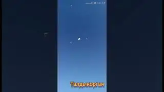 Бойные Голуби Казахстана Алексея Талдыкорган.