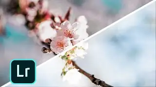 #10 || Lightroom photo editing tutorial || Picasso Editz ||