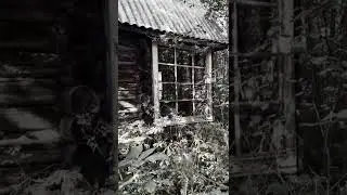 VIKARIY - UJS (snippet)