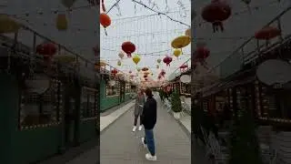 Просто красиво #music #переездвкраснодар #краснодар