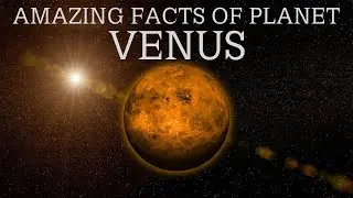 Venus planet-Amazing Facts-Explain In Hindi/Urdu-Door To Knowledge