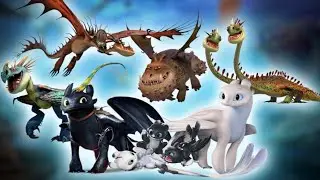 All Riders' Dragons/Hero Dragons Showcase (ft. Defend Berk) | Dragons: Rise of Berk