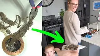 UNCLOG A Tub Drain! You Won’t Believe What’s In There! | 2-Minute Tutorials Ep.3