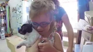 🐶PUPPY PINKY🐶 Щеночек Пинки ANNA MARIA АННА МАРИЯ Израиль Israel