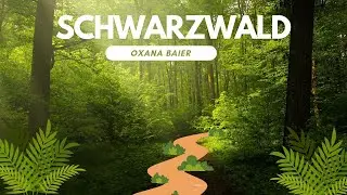 Zauberwald.Прогулка по лесу