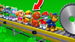 ¿A QUIÉN PAW PATROL SALVARÍAS EN MINECRAFT? 😱
