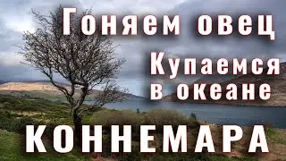 Два дня в Коннемаре