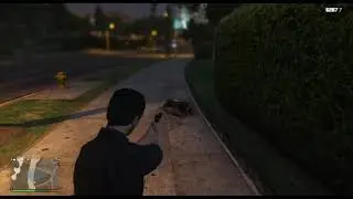 GTA V PC | LSPDFR • Episode 5 • He Pulled A Gun On Me!