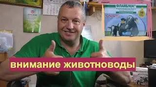 Чтобы  насекомые не кусали коров и быков.