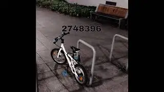 Tamman - 2748396 (prod. Doctororgans)