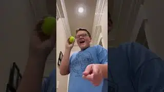 Dog gets revenge 