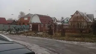 Нападение птиц на рябину