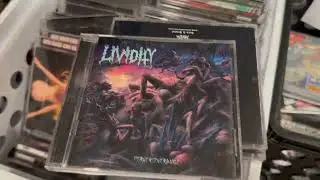 Massive Collection of Death Metal, Goregrind, Grindcore, & Pornogrind CDs I Just Bought